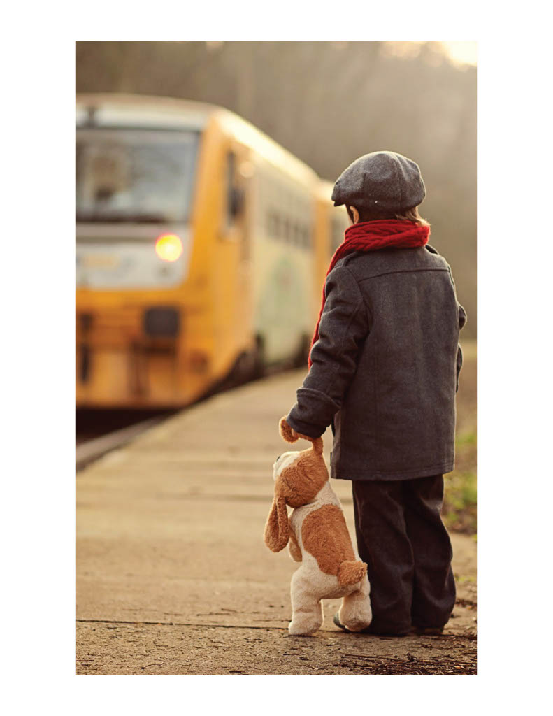 Book Children's-The Little Boy Who Loved Trains
