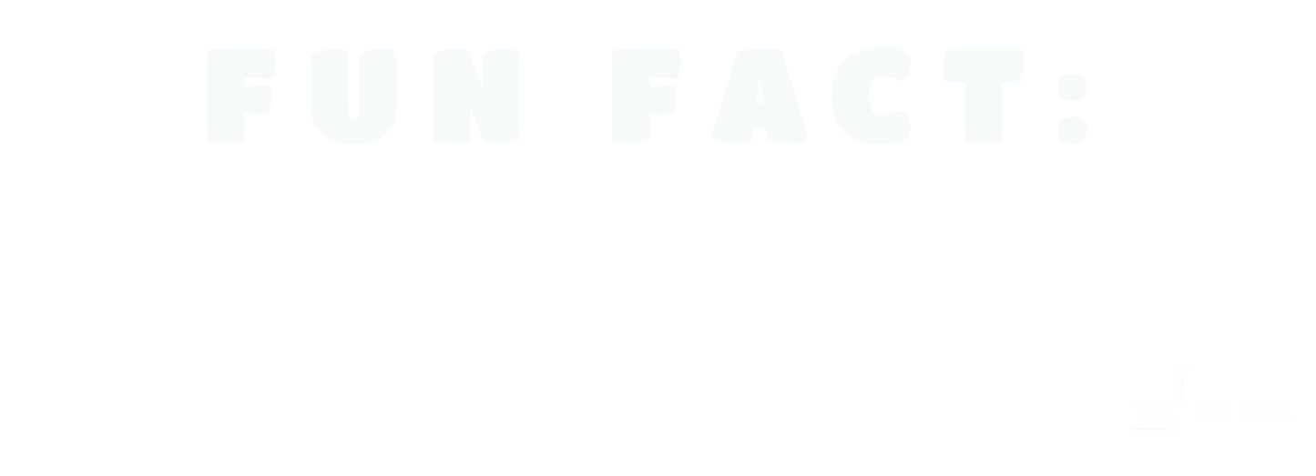 Trending Tees-Fun Fact