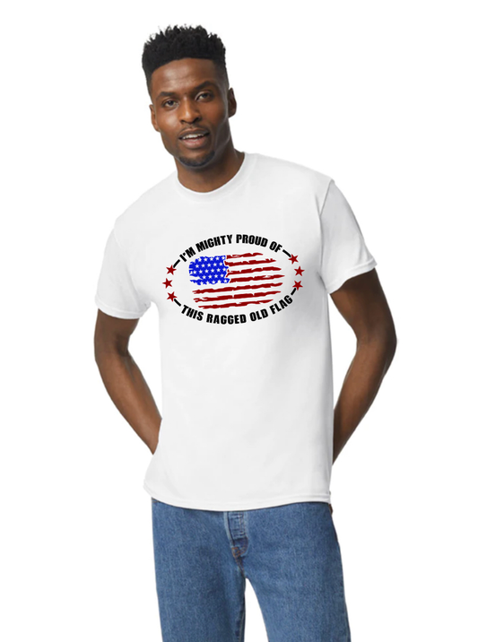 3001CVC-V Adult Tee Shirt Ragged Old Flag