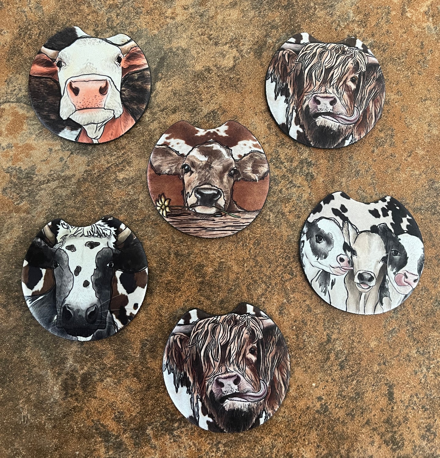 Coasters-Car Cows